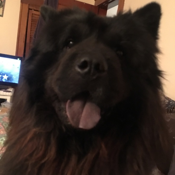 Meet your Posher, Catherine - Picture 2 of 6